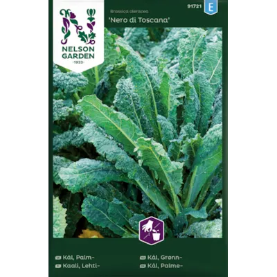 Frø grønnkål Nero di Toscana
