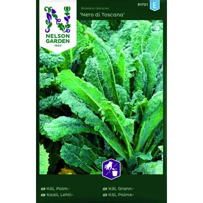 Frø grønnkål Nero di Toscana