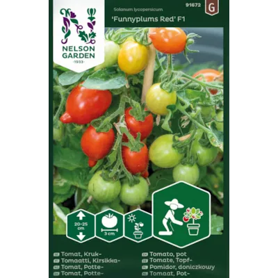 Frø cherryomat potte Funnyplums Red
