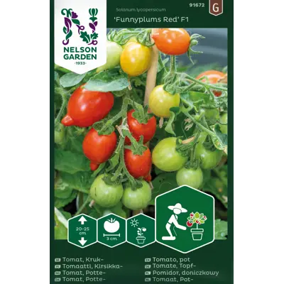 Frø cherryomat potte Funnyplums Red
