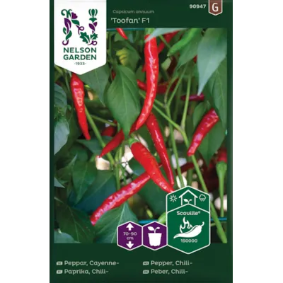 Frø chilipepper Toofan