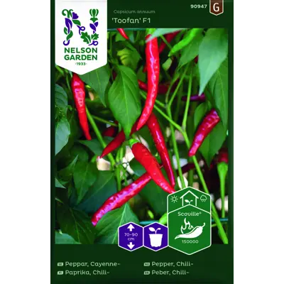 Frø chilipepper Toofan