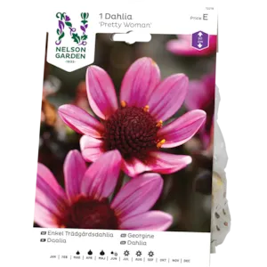 Vårløk georgine Pretty Woman