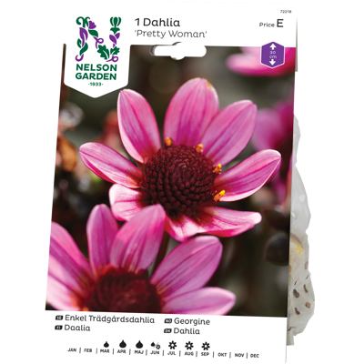 Vårløk georgine Pretty Woman