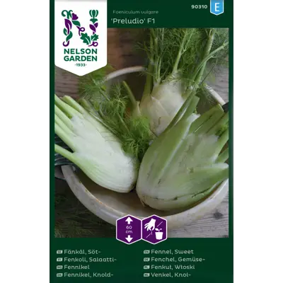 Frø fennikel Preludo