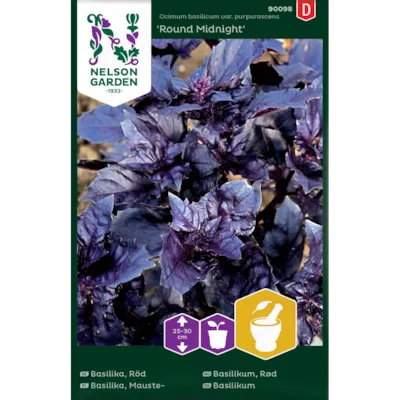 Frø basilikum rød Round Midnight