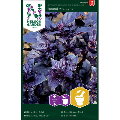 Frø basilikum rød Round Midnight