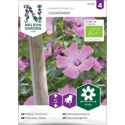 Frø månedslavatera Loveliness økologisk