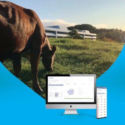 Adferdsanalyse, bilde 2