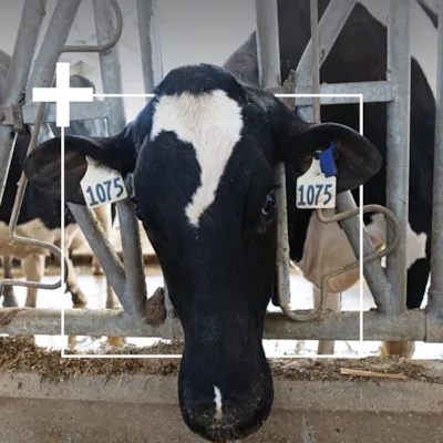 Adferdsanalyse, bilde 3