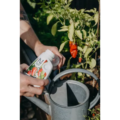 Mineralgjødsel for Chili 250 ml, bilde 2