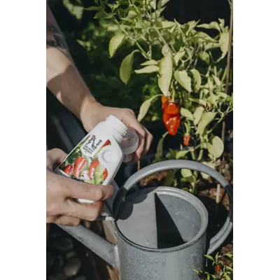 Mineralgjødsel for Chili 250 ml, bilde 2