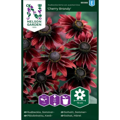 Frø sommersolhatt Cherry Brandy