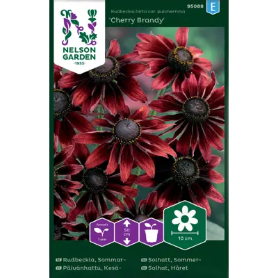 Frø sommersolhatt Cherry Brandy