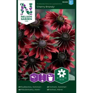 Frø sommersolhatt Cherry Brandy