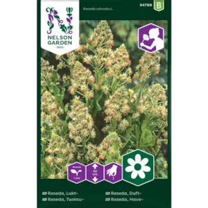 Frø duftreseda
