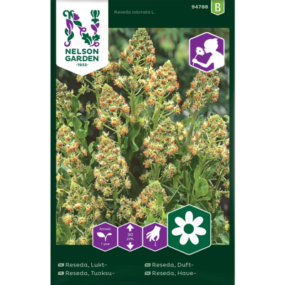 Frø duftreseda