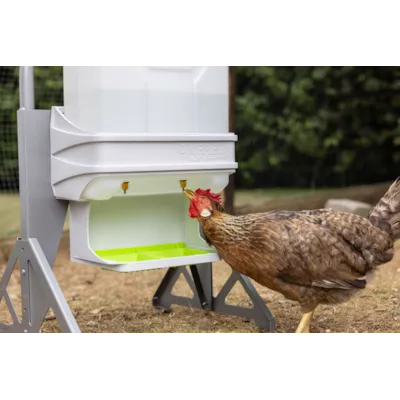 SmartCoop vannautomat fjærfe 10 L, bilde 9