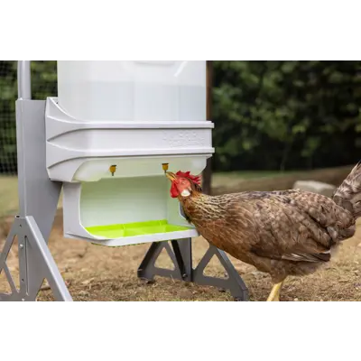 SmartCoop vannautomat fjærfe 10 L, bilde 9