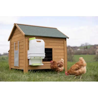 SmartCoop vannautomat fjærfe 10 L, bilde 8