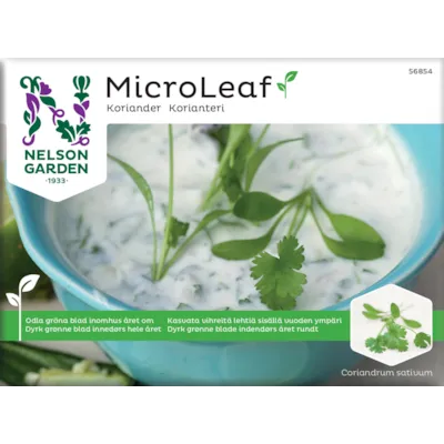 Frø koriander MicroLeaf