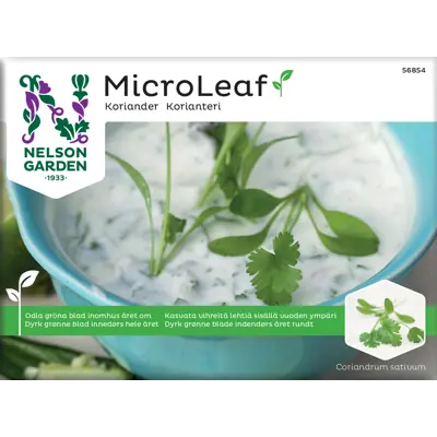 Frø koriander MicroLeaf