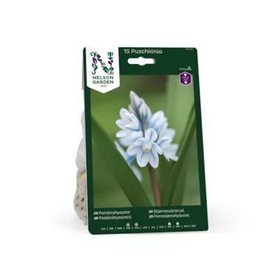 Høstløk stjernevårpryd