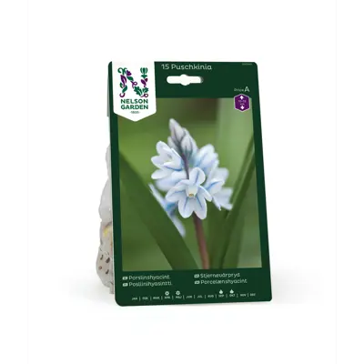 Høstløk stjernevårpryd