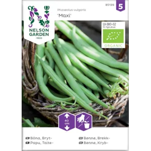 Frø brekkbønne Maxi økologisk