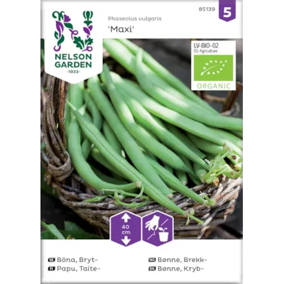 Frø brekkbønne Maxi økologisk