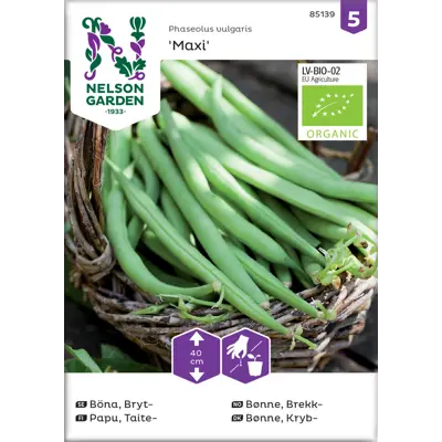 Frø brekkbønne Maxi økologisk