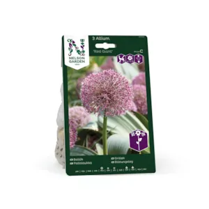 Høstløk gråløk Red Giant