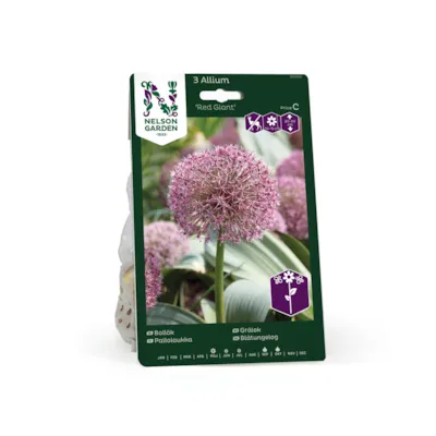 Høstløk gråløk Red Giant