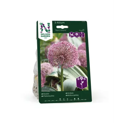 Høstløk gråløk Red Giant
