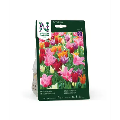 Høstløk liljetulipan