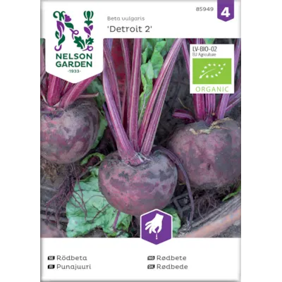 Frø rødbete Detroit 2 økologisk