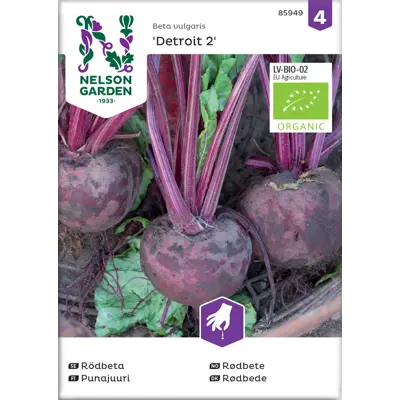 Frø rødbete Detroit 2 økologisk