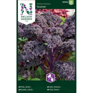 Frø grønnkål Scarlet