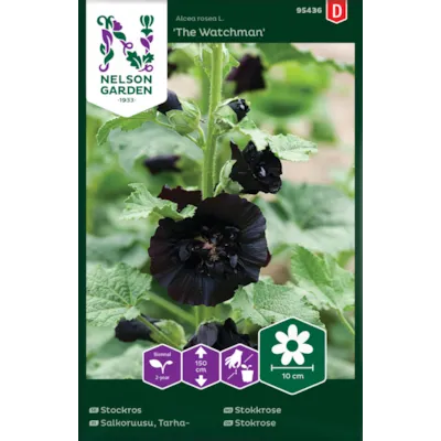 Frø stokkrose The Watchman, bilde 2