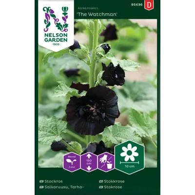 Frø stokkrose The Watchman, bilde 2