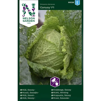 Frø savoikål Convoy