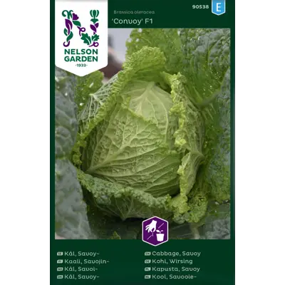 Frø savoikål Convoy