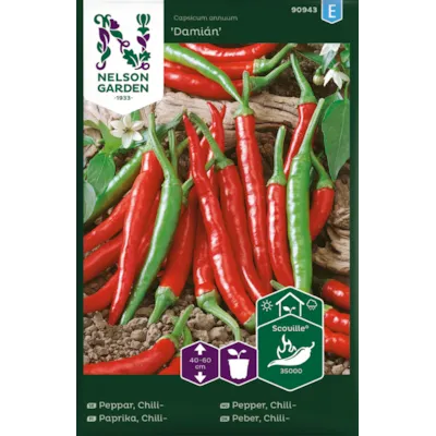 Frø chilipepper Damián