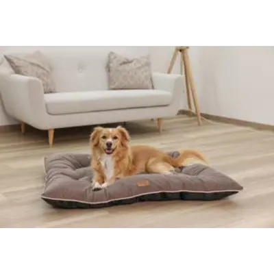 Hundepute Benno brun, bilde 2