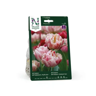 Høstløk tulipan, sen fylt Peptalk