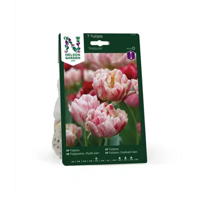 Høstløk tulipan, sen fylt Peptalk