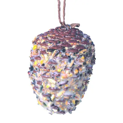 Fuglemat kjempekongle