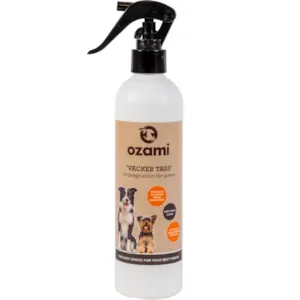 Poteimpregneringsspray 300  ml