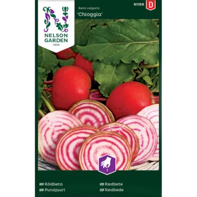 Frø rødbete Chioggia