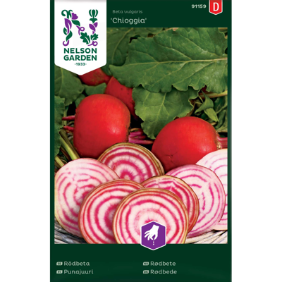 Frø rødbete Chioggia